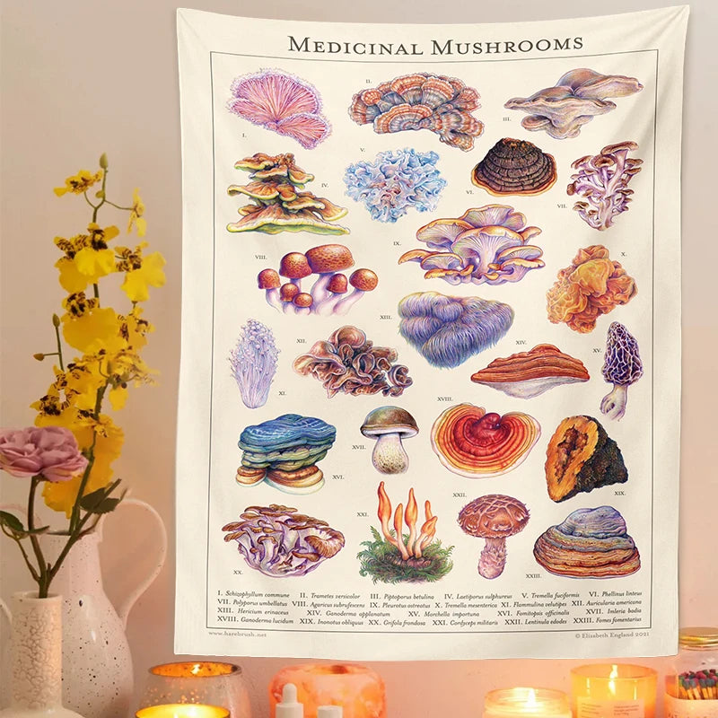 Mushroom Tapestry Wall Hanging Botanical Print Floral Illustration Identification Chart Diagram Illustration Wall Art Boho Decor