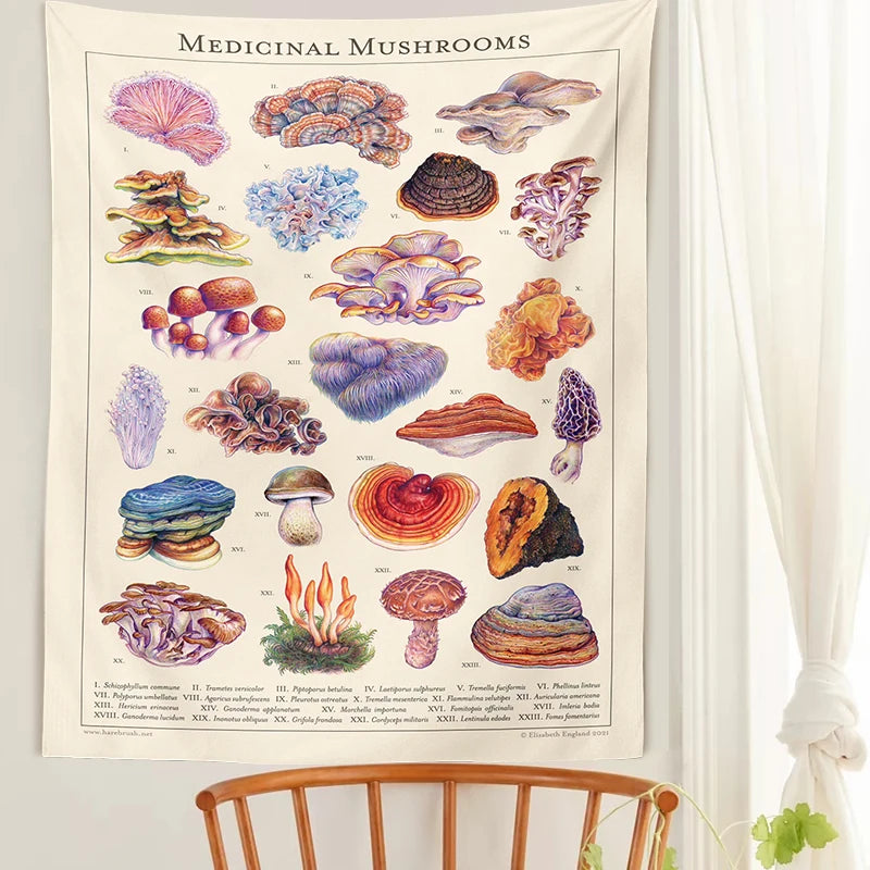 Mushroom Tapestry Wall Hanging Botanical Print Floral Illustration Identification Chart Diagram Illustration Wall Art Boho Decor