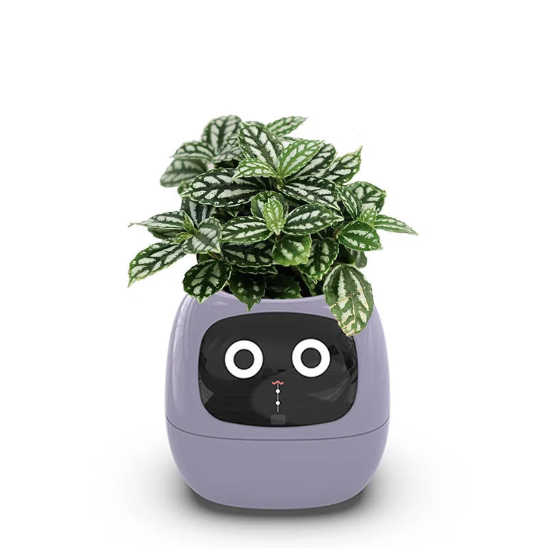 Ivy Smart Ai Planter