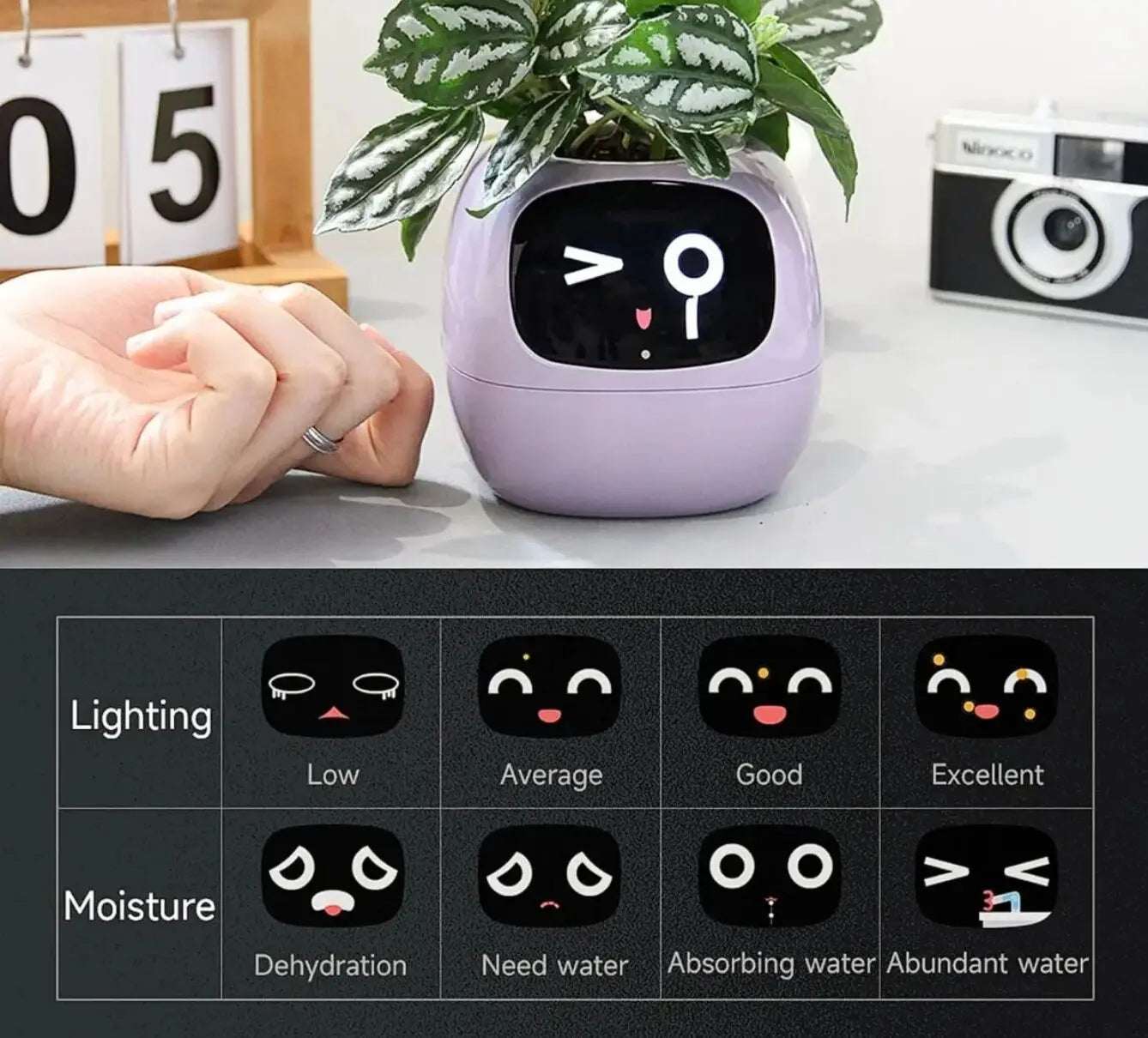 Ivy Smart Ai Planter