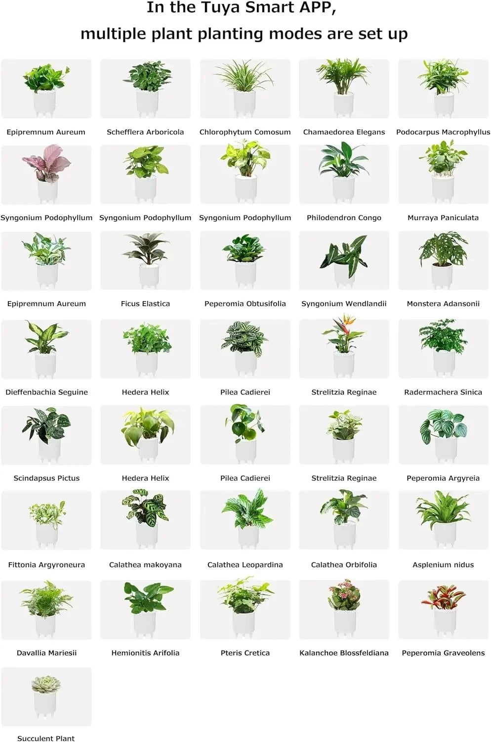Ivy Smart Ai Planter