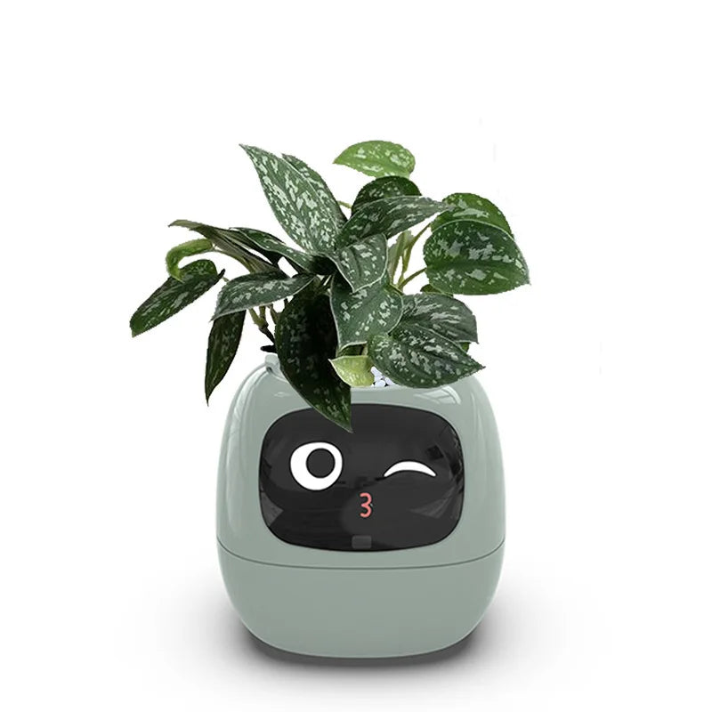 Ivy Smart Ai Planter