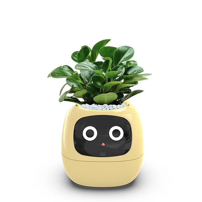 Ivy Smart Ai Planter
