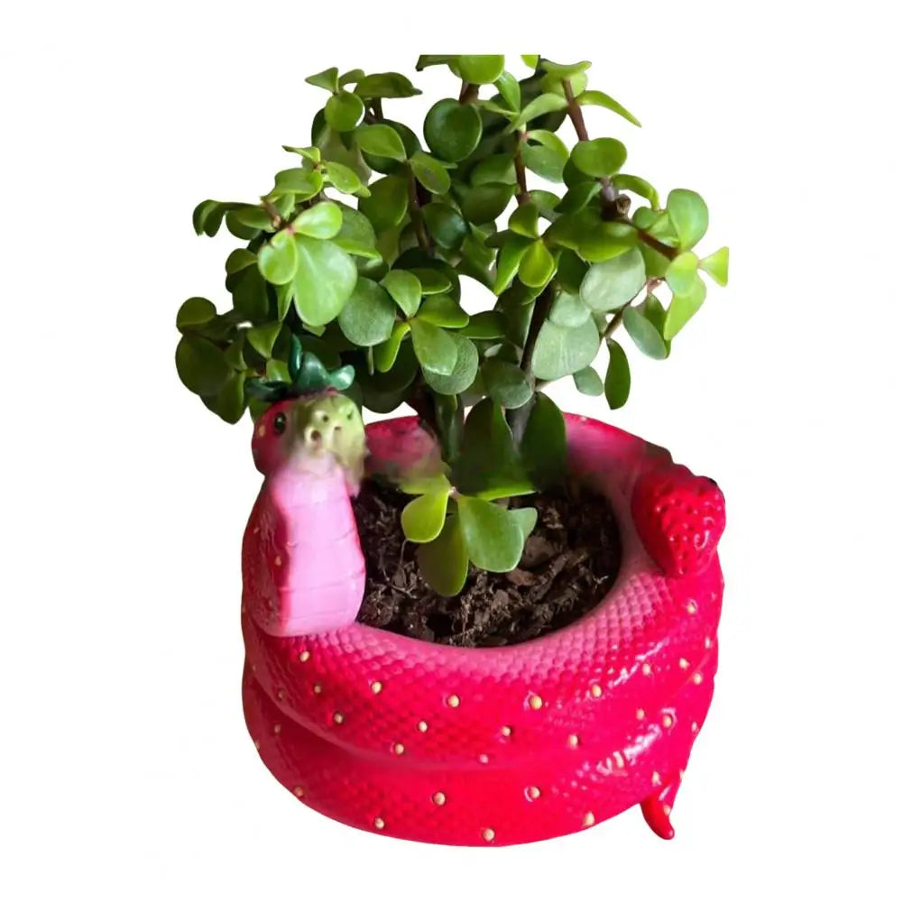 1Pc Snake Flower Pot Unique Resin Coiled Snake Planter with Drainage Hole Decorative Plant Pot for Succulents Cactus Houseplants