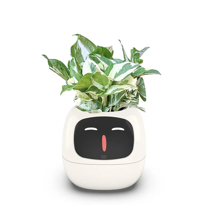 Ivy Smart Ai Planter