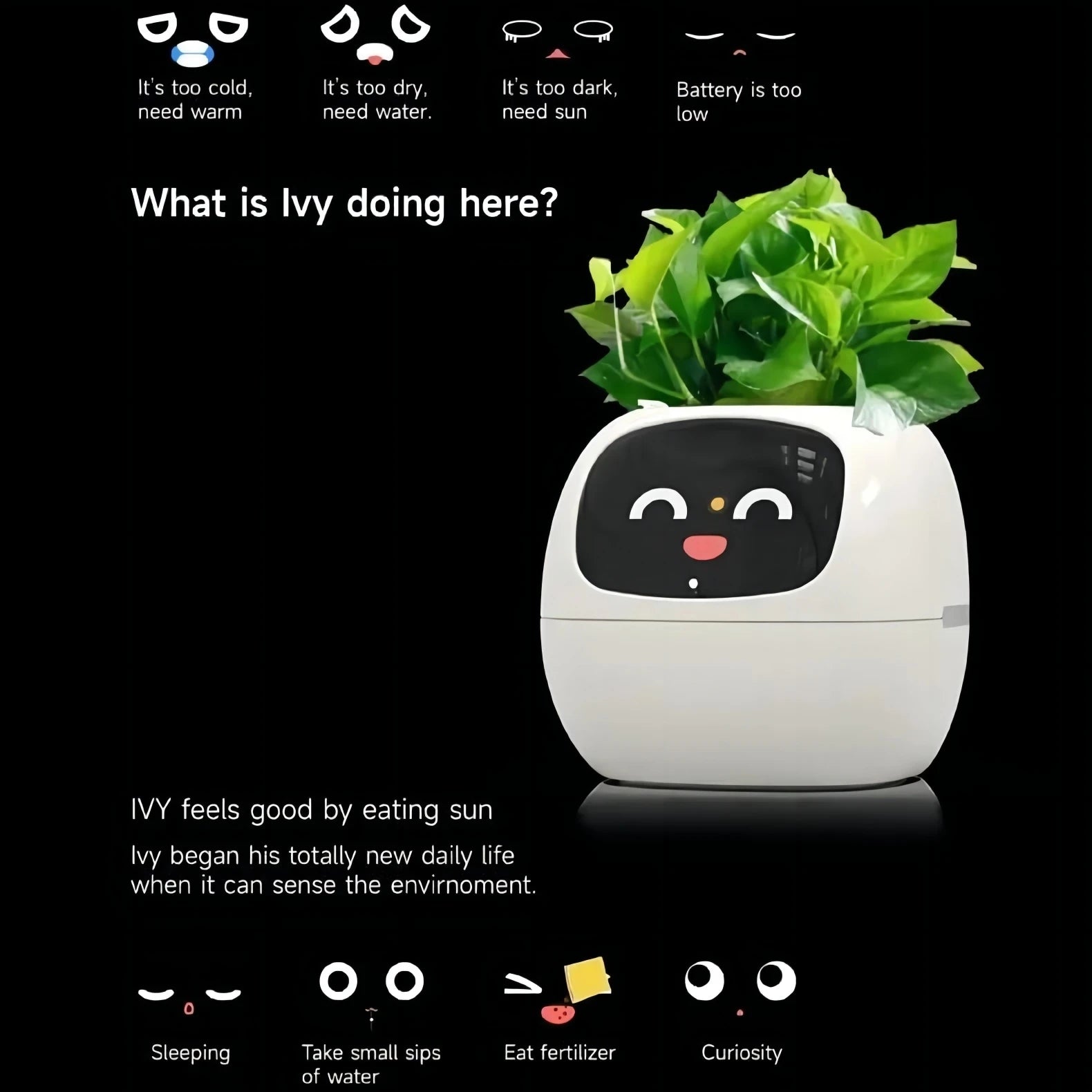 Ivy Smart Ai Planter