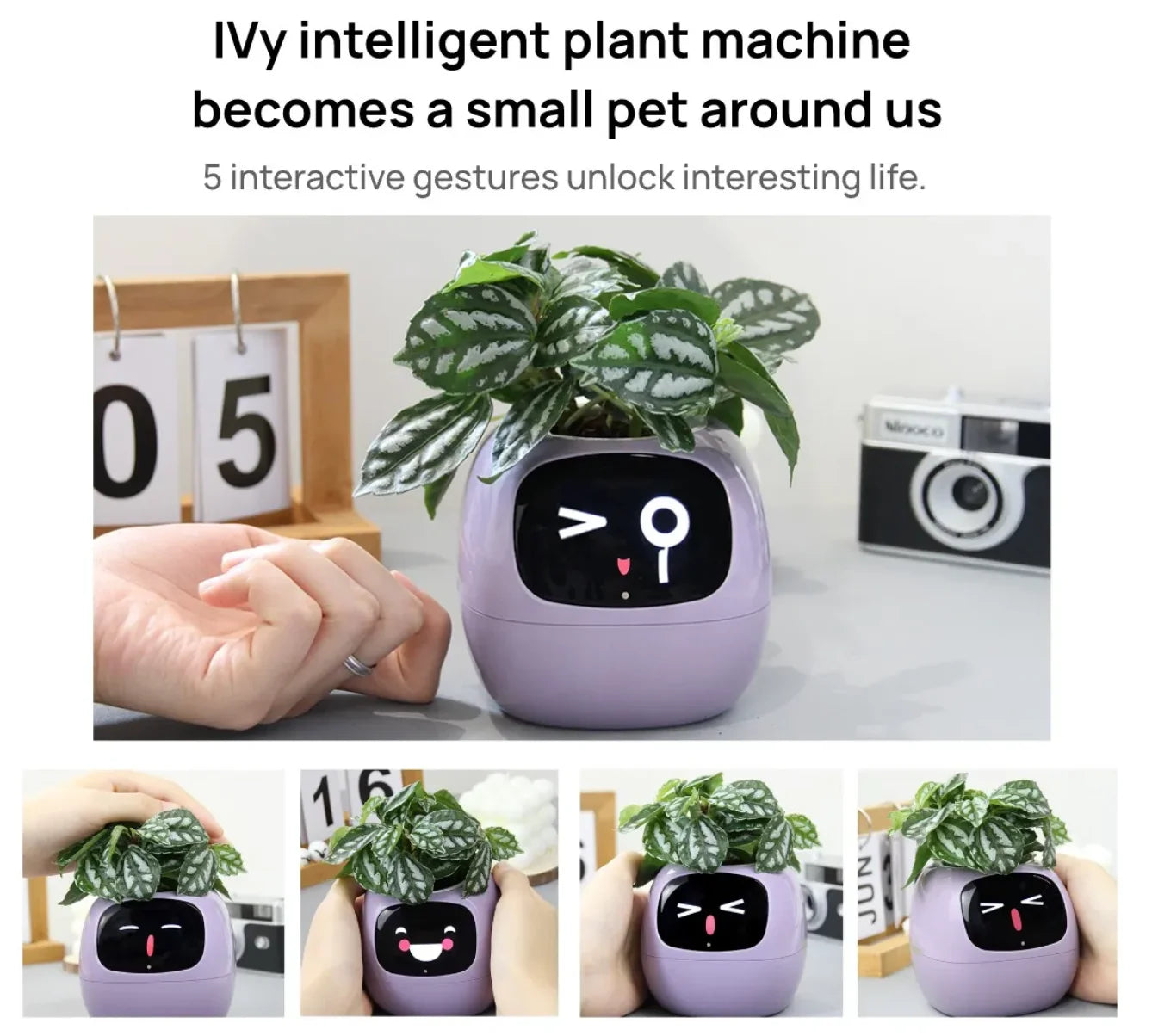 Ivy Smart Ai Planter