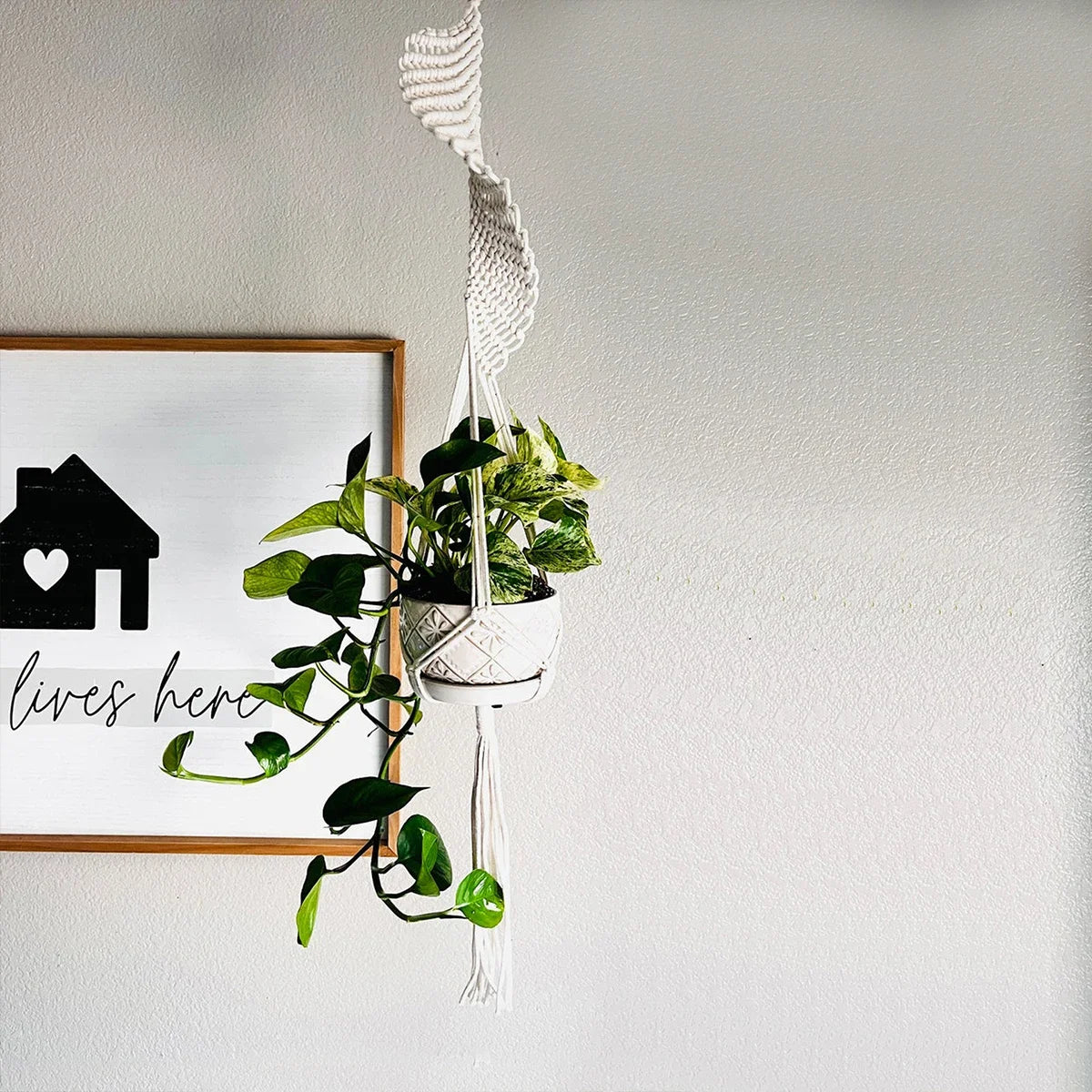 Handmade Macrame Plant Hangers Hanging Cotton Rope Hanging Planter Garden Plant Pot Holder Decor for Indoor Living Room Balcony