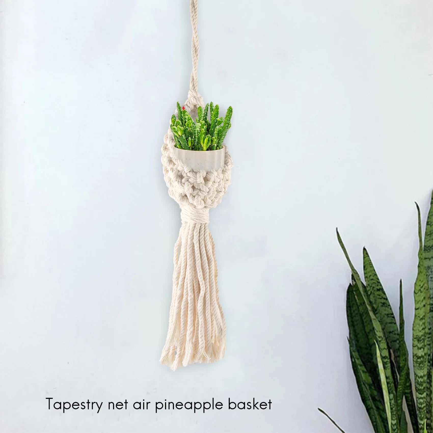 PZHI-Boho Macrame Air Plant Hanger Tillandsia Hanging Basket Rope Holder Flower Home Decor