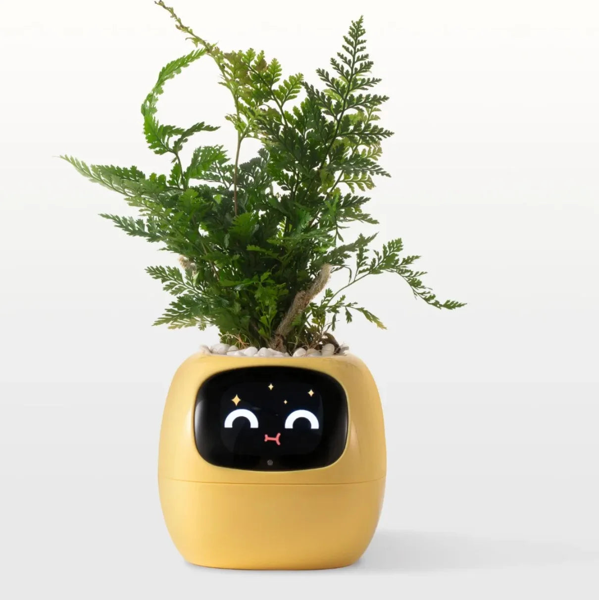 Ivy Smart Ai Planter